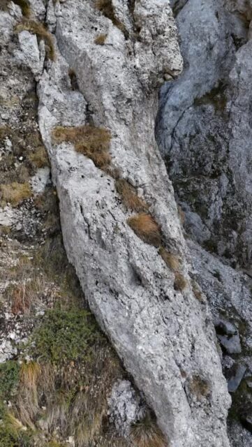 🗻„Šuplja vrata“ / „Mačji poljubac“🐺

„Šuplja vrata“, poznata i kao „Mačji poljubac“, predstavljaju jednu od najposebnijih prirodnih atrakcija Gusinja. Ova jedinstvena kamena formacija na obroncima Prokletija privlači posjetioce svojom upečatljivom siluetom i pogledom koji otkriva ljepotu gusinjskog kraja. ⛰️

Nastala prirodnim djelovanjem tokom hiljada godina, formacija je danas prepoznata kao simbol lokalnog identiteta i autentične prirode područja. 

Posjeta ovom lokalitetu pruža nezaboravno iskustvo svim ljubiteljima planinarenja, fotografije i netaknute prirode. 📸

„Mačji poljubac“ je više od atrakcije — to je prirodni znak prepoznatljivosti Gusinja i jedan od njegovih najvrjednijih pejzažnih dragulja. 🍀

#gusinje #prokletije #gomontenegro #montenegrowildbeauty