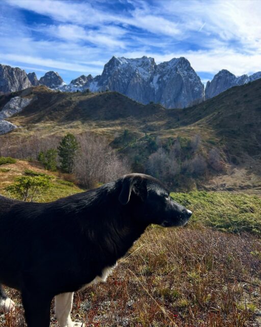 No filter needed. ☀️